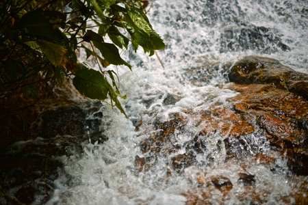 water fallの写真素材