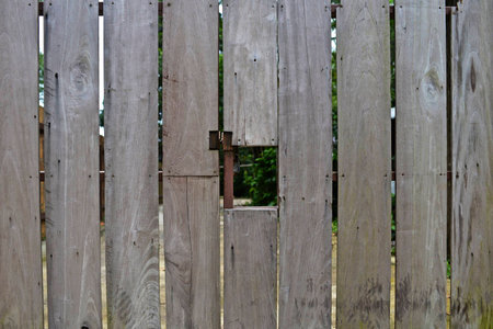 Wooden doorの写真素材