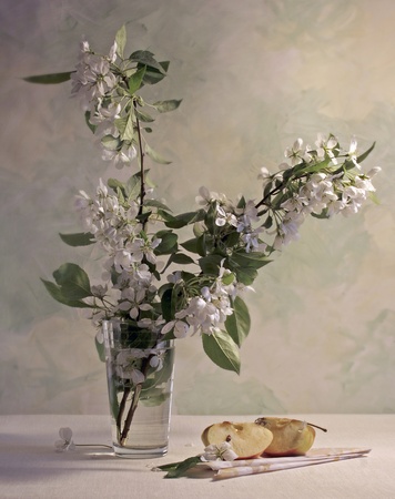 still life with a flowering branch of cherryの写真素材