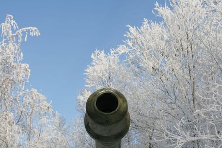 Trunk of a gun on a background of snow branchesの写真素材