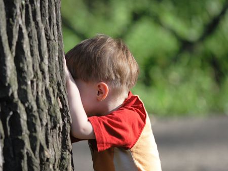 The boy has hidden the person in palms about the big treeの写真素材