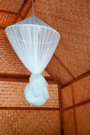 Mosquito Net in Bamboo Hutの写真素材