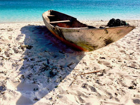 Wooden poles on the beach in Zanzibarの写真素材