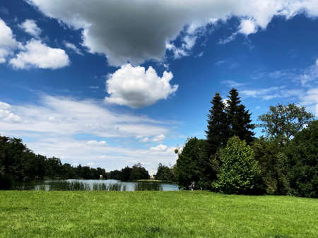 View of the open landscape in summer lightの写真素材