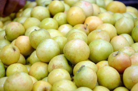 Monkey appleの写真素材