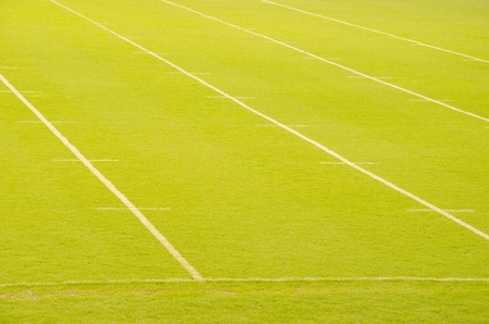 Green lawn used for playing various sportsの写真素材