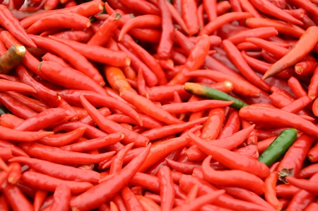 Pepper is a plant that can be used for both short-lived. Fresh and processed food