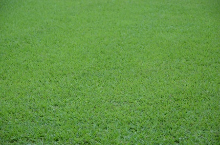 greensward