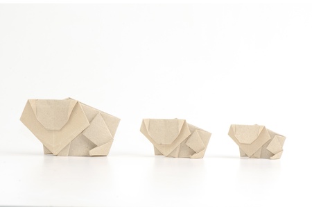 The lion s paper on white backgroundの写真素材