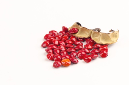 Adenanthera pavonina seeds combined into a heart shape on white background (Adenanthera pavonina)