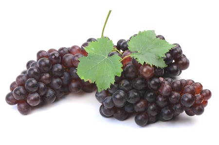 Grapes  BLACKOPOR 