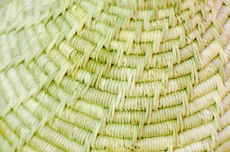 Background made from Vetiver Grass  Vetiveria zizanioides の写真素材