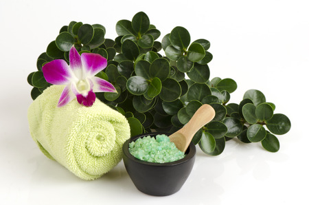 Spa salt.の写真素材