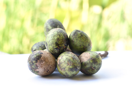 Spondias pinnata (L.f.) Kurz. Anarcardiaceae.Hog Plum,