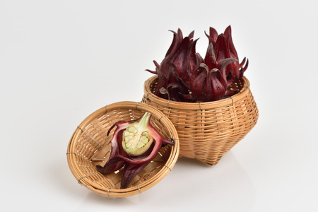 Roselle fruits Thailand use for made local sweet juice on white backgroundの写真素材