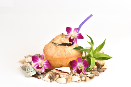 Cocos Nucifera.の写真素材