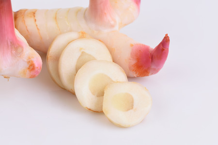 Galanga (Alpinia galanga SW.).の写真素材