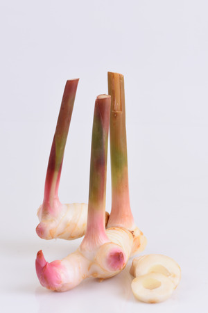 Galanga (Alpinia galanga SW.).の写真素材