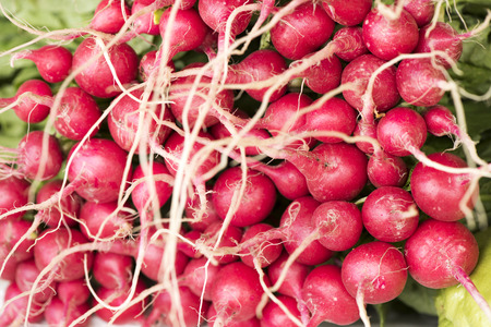 Radish.