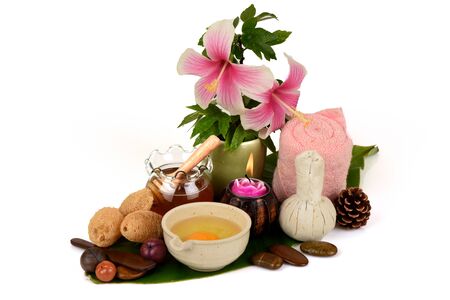 Soak hair with hibiscus flowers, egg yolks and honey for healthy hair. It has medicinal properties and on a white background.の写真素材