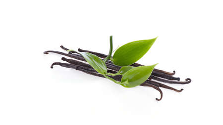 Vanilla and leaves isolate on a white background.の写真素材