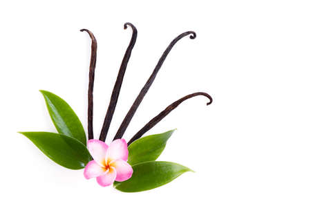Vanilla and leaves isolate on a white background.の写真素材