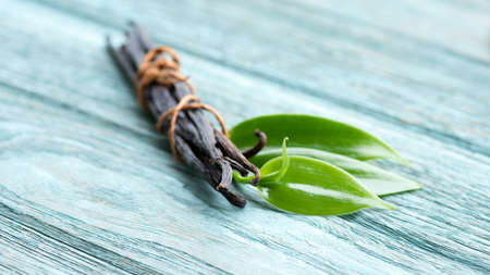 Still life dried Vanilla pods, green leaves  on a natrual background.の写真素材