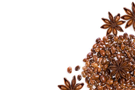 Chinese star anise fruits isolated on a white background.の写真素材