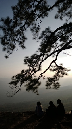 phukradung sceneryの写真素材