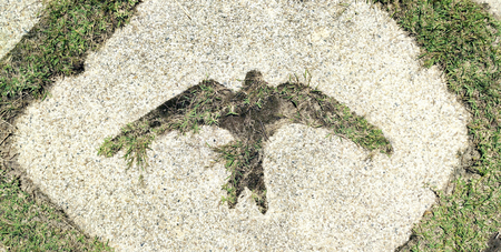 bird symbol  carve on gravelの写真素材