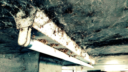 old cobwebs on the fluorescent lightの写真素材