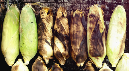 Roasted sweet corn on grill