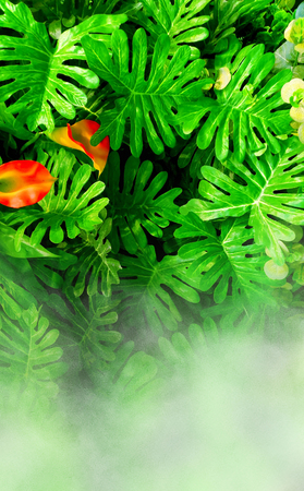 Vertical garden with tropical green leaf with fog and rain.