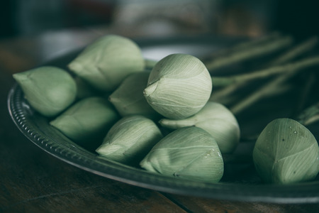 The green lotus bud is placed on a silver tray for worshiping sacred things.の写真素材