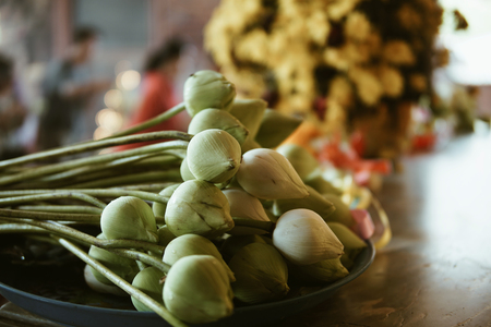 The green lotus bud is placed on a silver tray for worshiping sacred things.の写真素材
