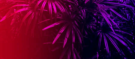 Vertical garden with tropical green leaf, colorful toneの写真素材