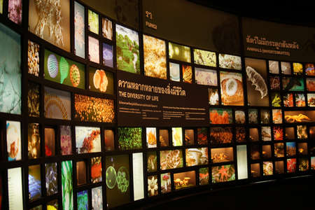 Pathum Thani/Thailand-August  27, 2020 : RAMA9 MUSEUM, THE DIVERSITY OF LIFE EXHIBITIONS