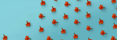 Pattern of orange cordia flower on blue backgroundの写真素材