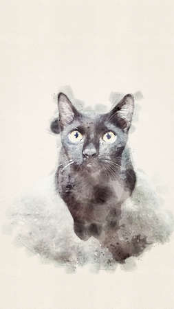 Blackcat on the ground in thailand. Watercolor style.の写真素材