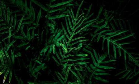 Modern laptops on blue background. 3D Illustration.の写真素材