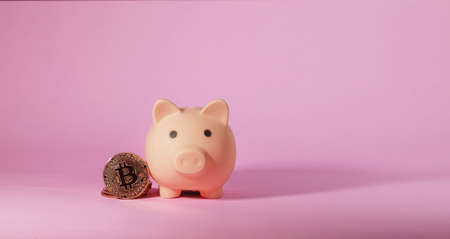 Metal bitcoin and piggy bank. Business and Finance concept..の写真素材