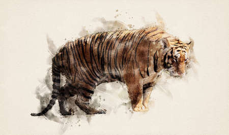 The tiger is lying on a wood log. Watercolor style. Illustration.の写真素材