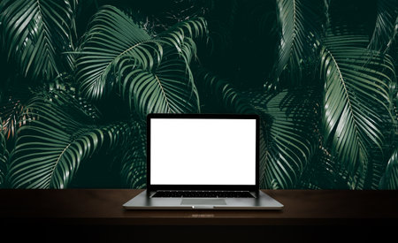 Modern laptop  isolated on green leaf background. 3D illustration.の写真素材