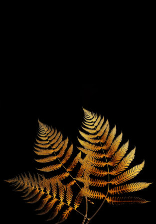 tropical gold leaf forest glow in the dark background. High contrast. 3d illustrationの写真素材