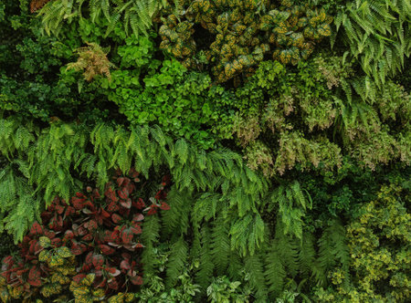 Vertical garden with tropical green leaf, contrastの写真素材