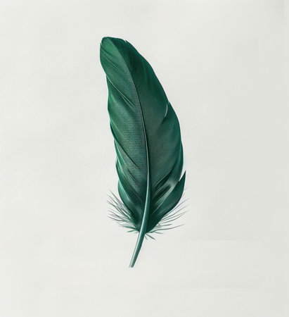 A single emerald green feather on a photogram background symbolizing a pigeon in a minimalist settingの素材