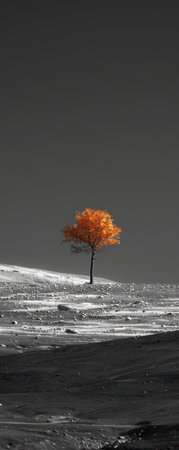 A black and white photograph with a single element highlighted in color, drawing attention to its significanceの素材