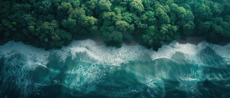 Aerial view of a lush rainforest bordering a turquoise ocean with crashing waves, showcasing the contrast between land and sea.の素材