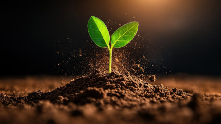 Close-up of a young plant emerging from rich soil, symbolizing growth, renewal, and the beauty of nature in a warm light.の素材