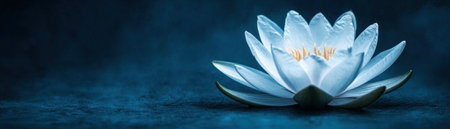 A serene water lily gracefully floats on a tranquil blue pond.の素材
